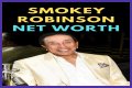 Amy Robinson Net Worth