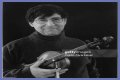 David Shapiro (musician)