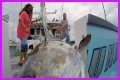 Who has the most expensive boat on Wicked Tuna?