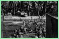 WWII's Most Daring Raids - Smithsonian Channel